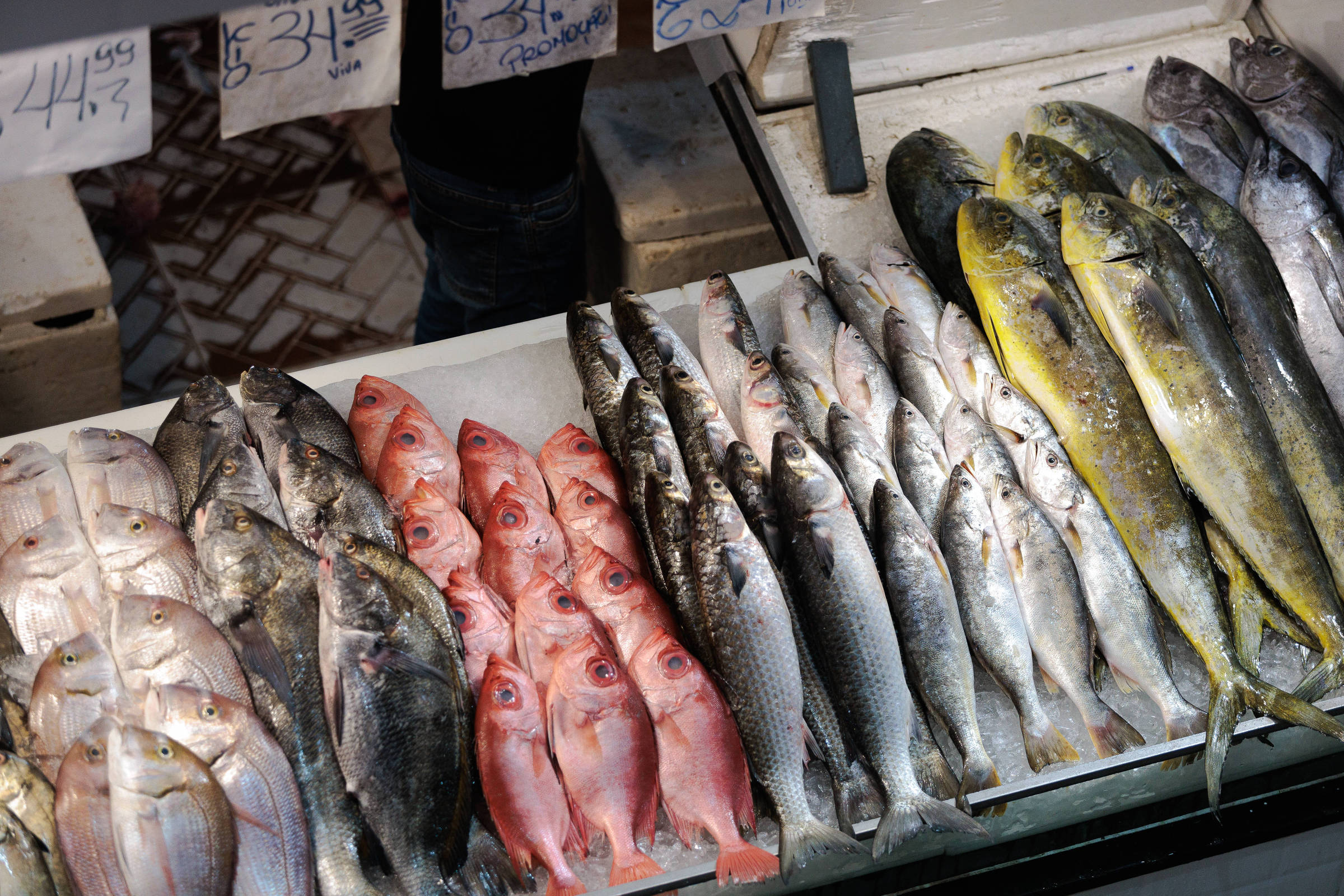 Aldir: condenado a dormir na sala após suspeita de pesca falsa - 21/01/2025 - Praça do Leitor