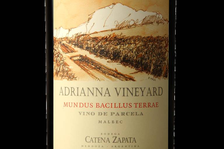 Blend chileno da Udurraga e malbec da Catena levam Oscar do vinho da América do Sul - 28/03/2025 - Isabelle Moreira Lima