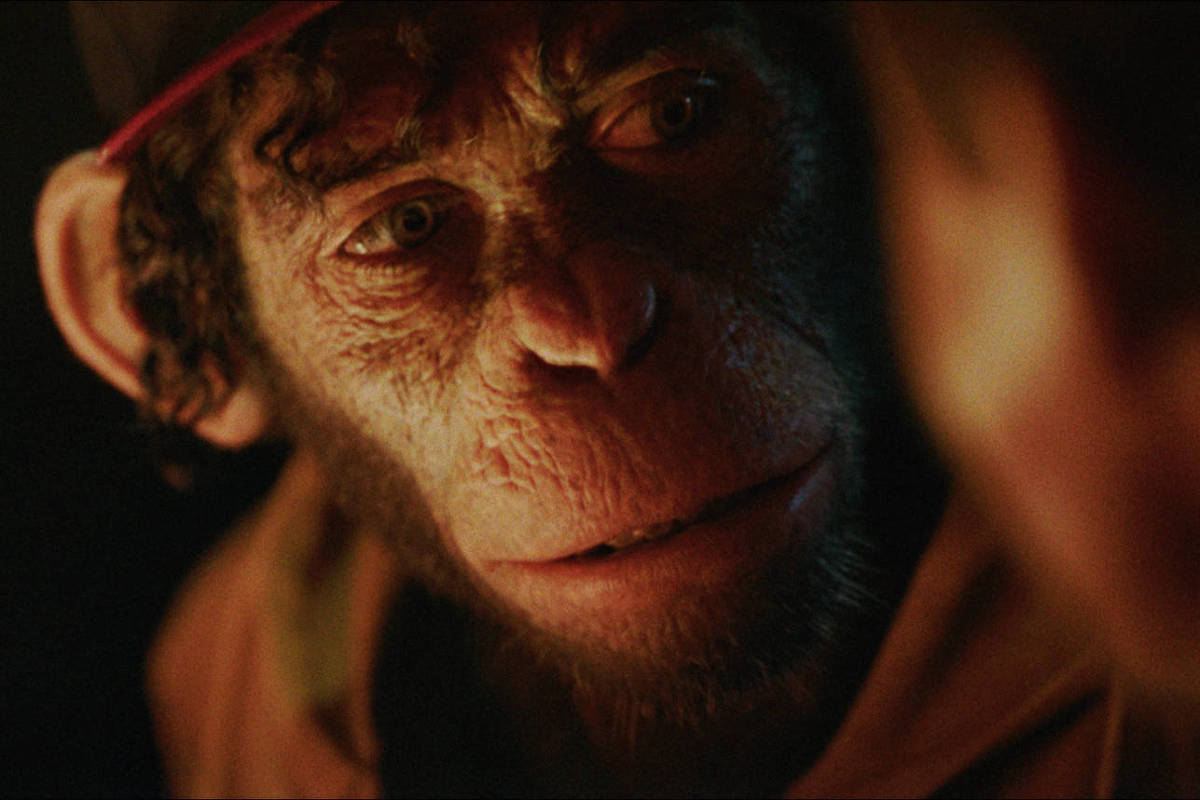 Robbie Williams retratado como macaco: o que ver na terça - 12/05/2025 - Ilustrada