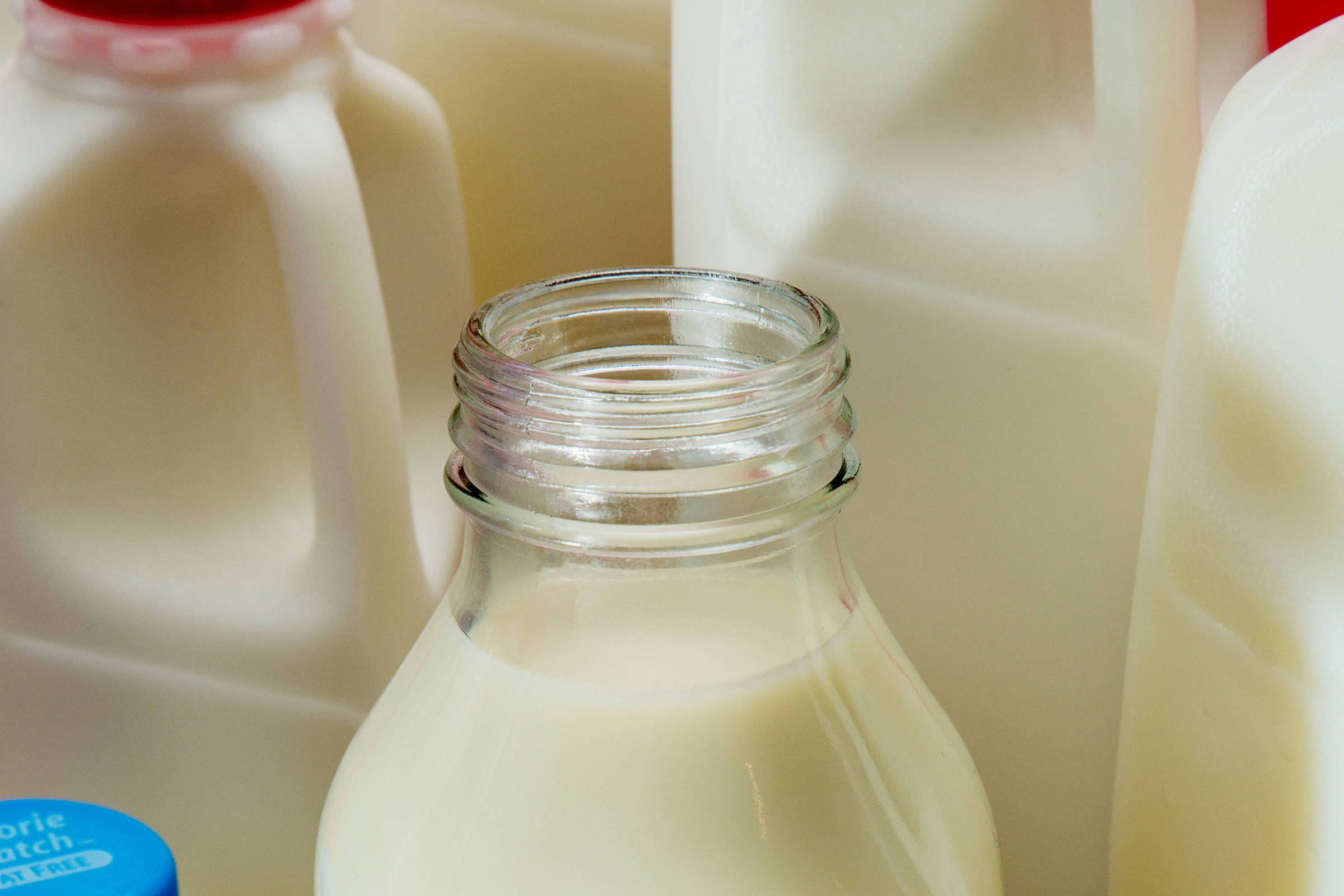 Como a saúde sob Trump afeta a criação dos filhos - 02/06/2025 - Equilíbrio