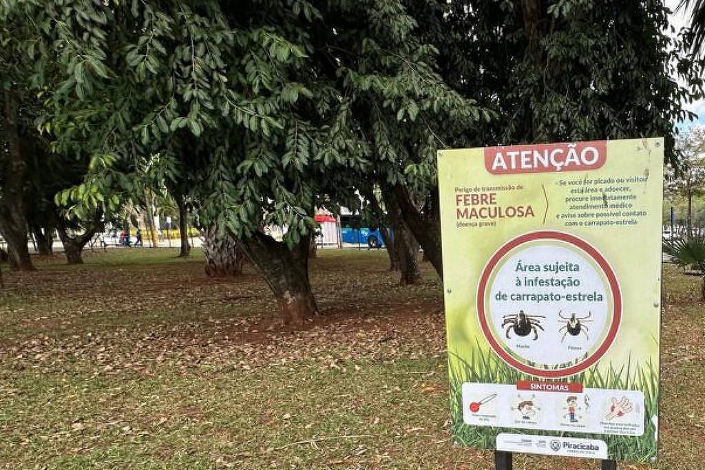 Criança morre por febre maculosa no interior de SP - 29/08/2025 - Equilíbrio e Saúde