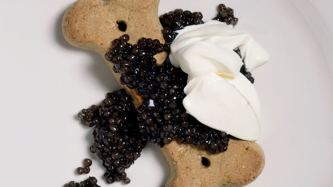 Dos arquivos: Jeffrey Steingarten em jantar gourmet Doggy