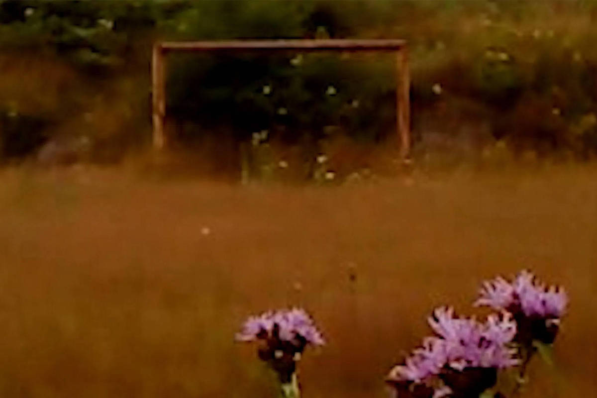 'Folha Seca' é radical ao usar imagens de baixa definição - 24/10/2025 - Ilustrada