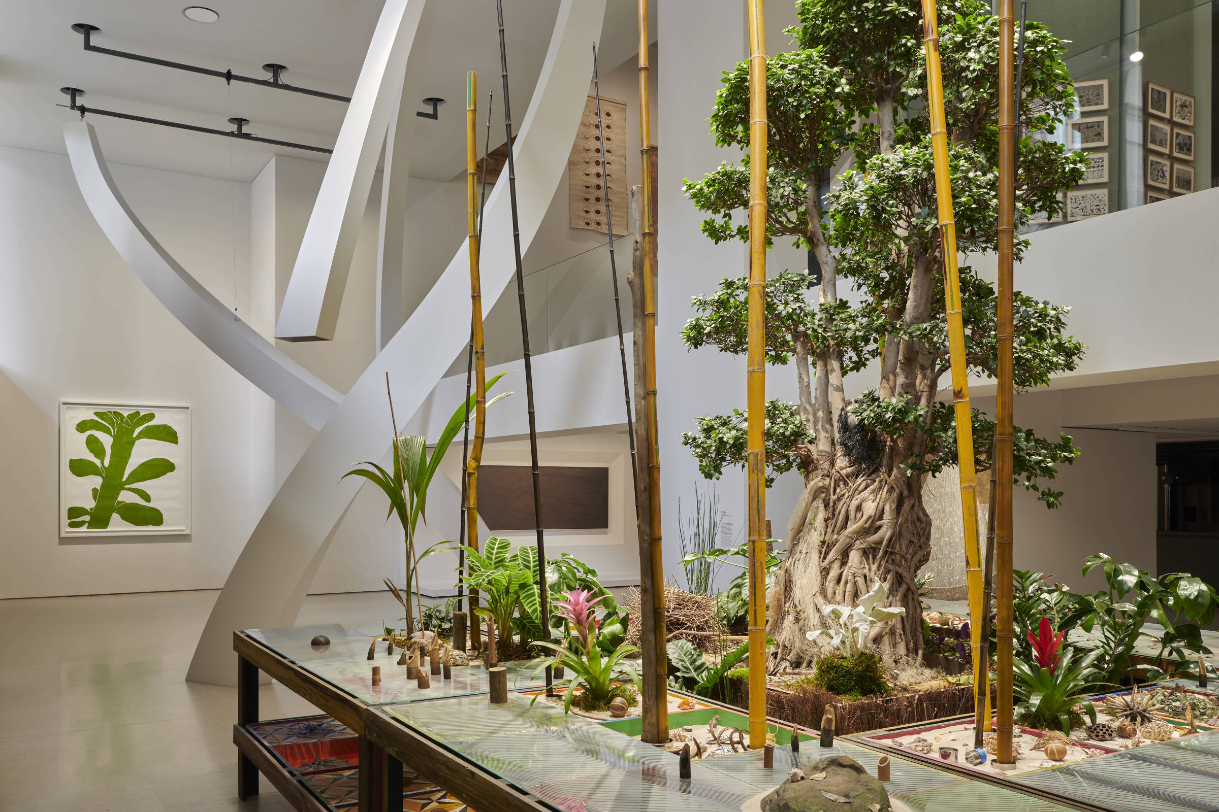 Brasil é destaque em novo espaço da Fundação Cartier - 27/10/2025 - Ilustrada