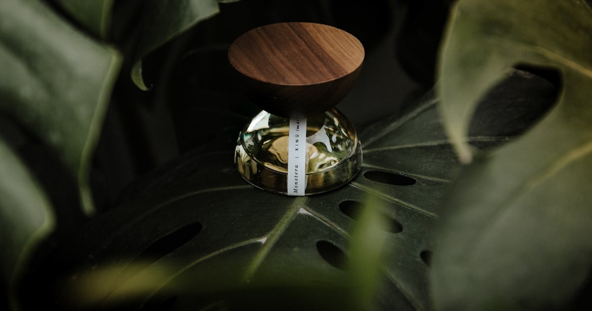 Estée Lauder investe na marca mexicana de fragrâncias Xinú