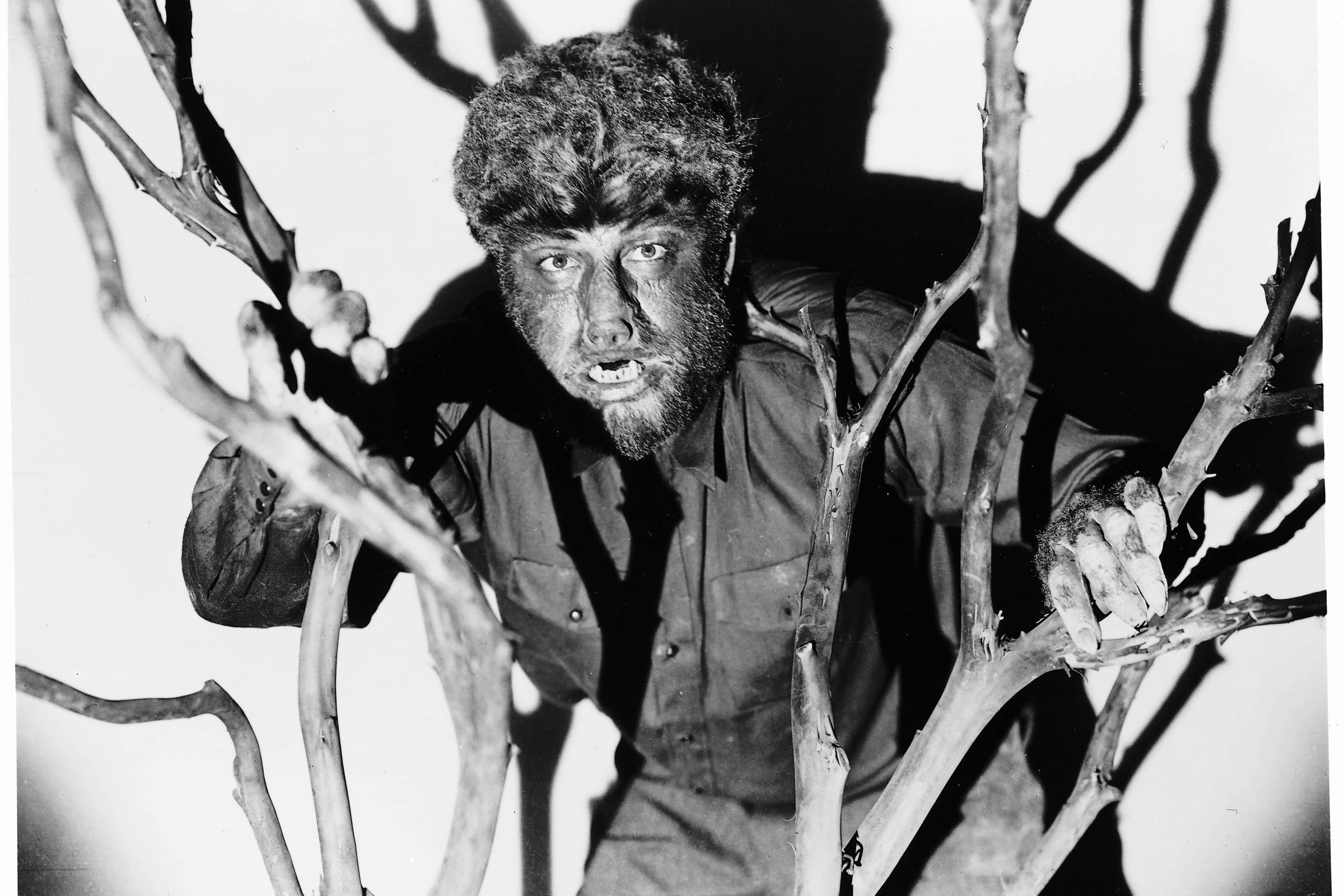 Arqueiro vence leilão acirrado por livro sobre lobisomem - 03/04/2026 - Walter Porto