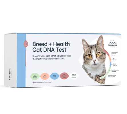 A ascensão da personalização de animais de estimação: DNA do gato e a nova cultura de animais de estimação de luxo