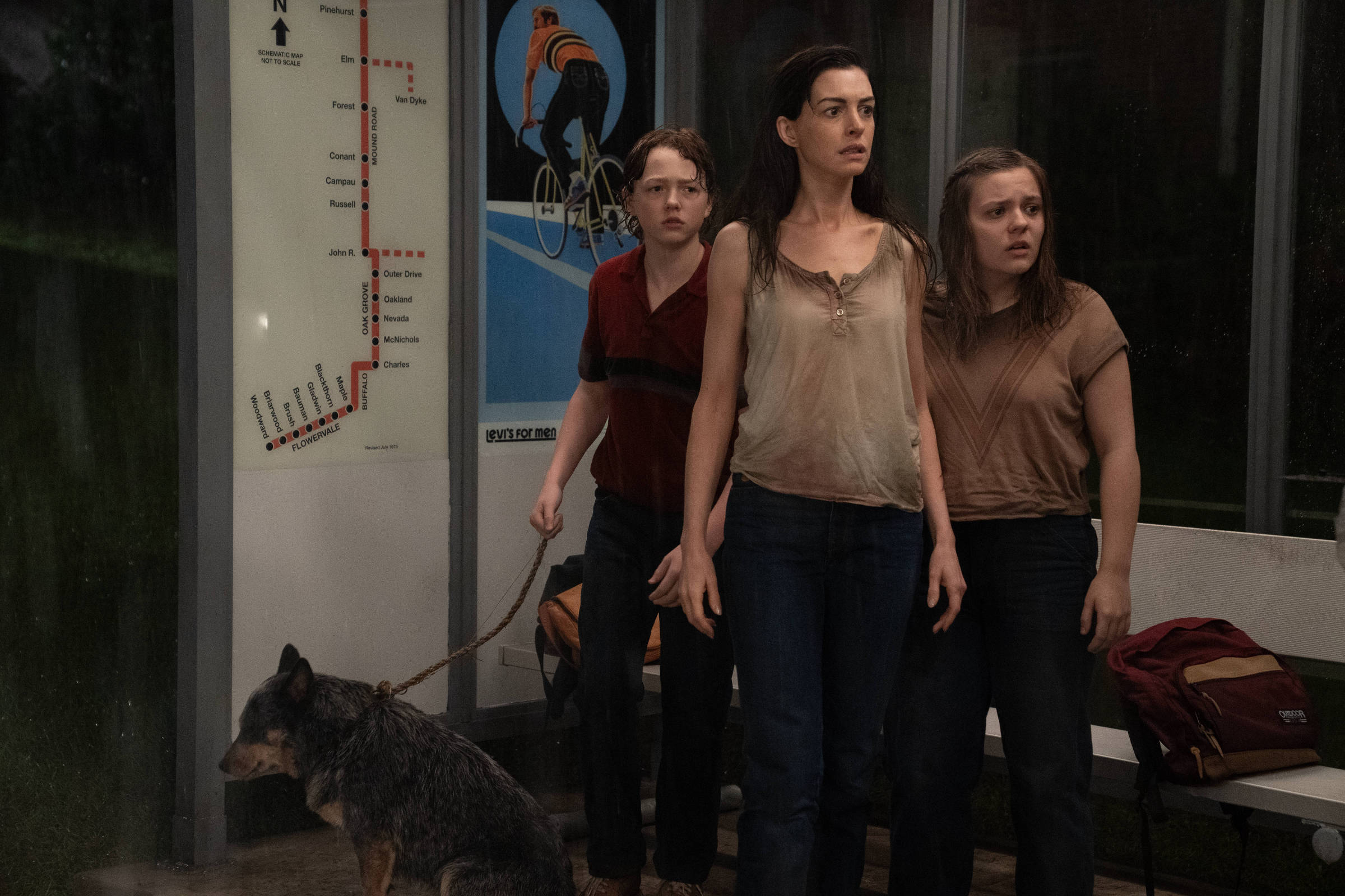 Warner usa cães de IA para divulgar 'O Fim da Rua'; veja - 09/08/2026 - Ilustrada